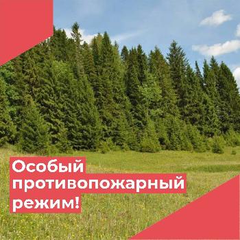 В лесах Кировской области установлен особый противопожарный режим
