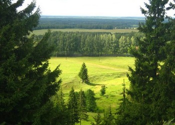 В Кировской области идет подготовка к пожароопасному сезону в лесах
